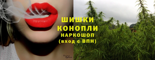 трава Алзамай