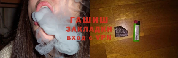 гашик Алексин