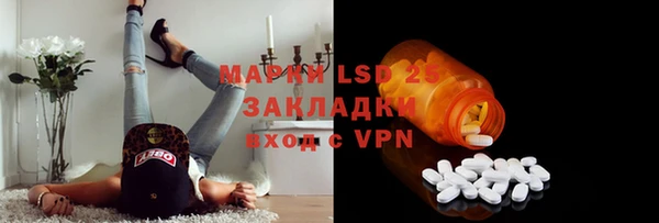 гашик Алексин