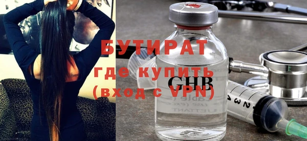 гашик Алексин