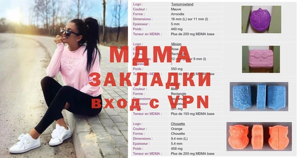 гашик Алексин