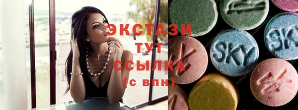гашик Алексин
