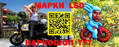 СК Малоярославец