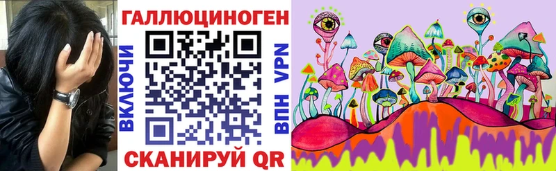 Псилоцибиновые грибы GOLDEN TEACHER  Купить  Вязники 