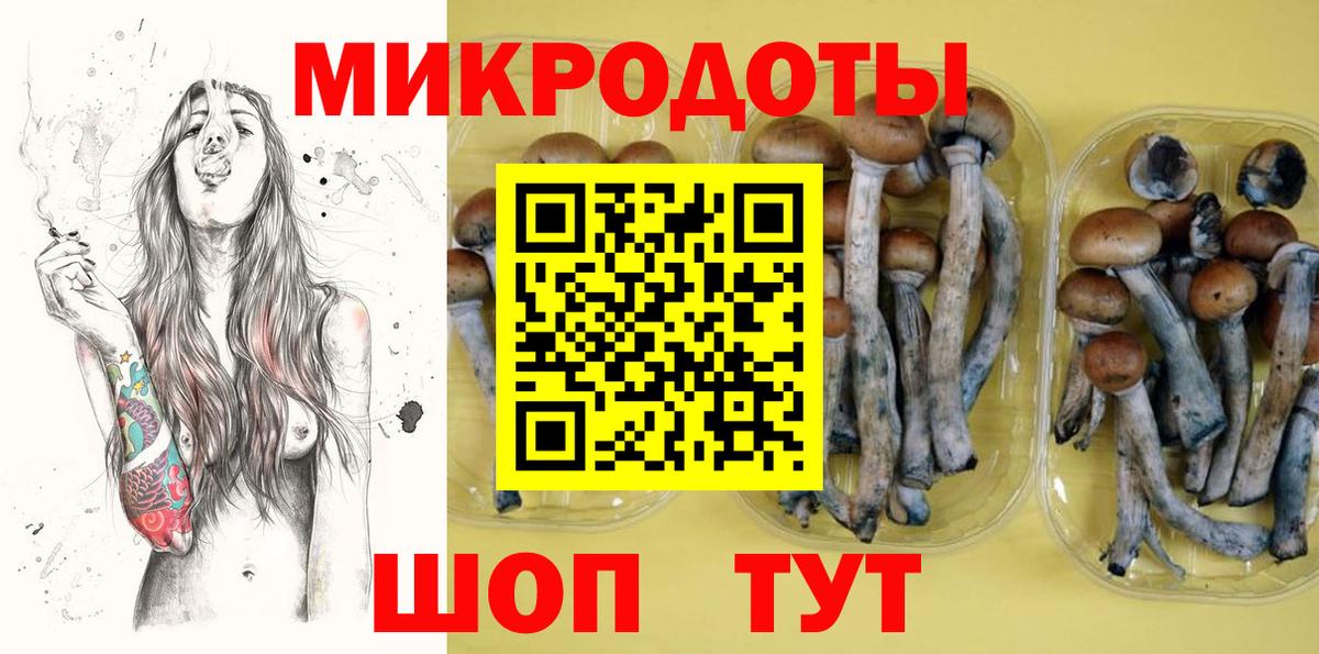 Вязники  Псилоцибиновые грибы мухоморы  Вход с VPN  Галлюциногенные грибы Magic Shrooms 